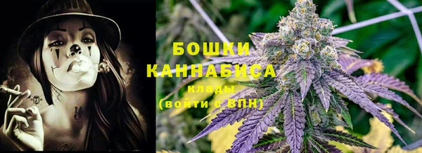 ПСИЛОЦИБИНОВЫЕ ГРИБЫ Алексеевка