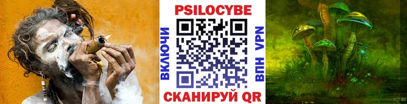 как найти закладки  Михайловск  Галлюциногенные грибы Cubensis 