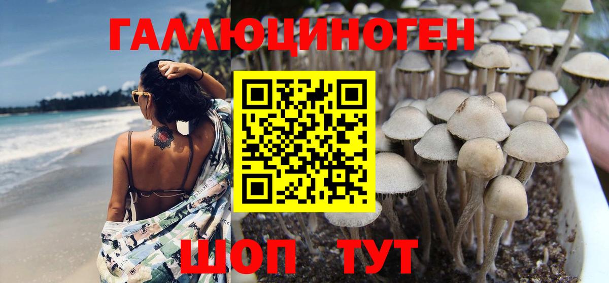 Псилоцибиновые грибы Cubensis  Псилоцибиновые грибы Magic Shrooms  Михайловск  Вход с VPN 